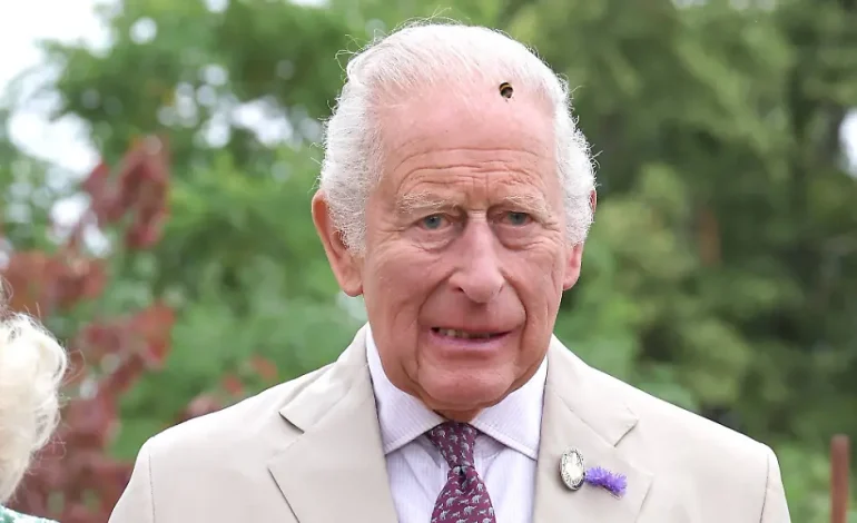 König Charles III. unterstützt britische Hutmacherin mit Weizenspende