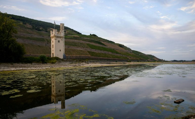 Niedrige Wasserstände im Rhein: Auswirkungen und Eindrücke