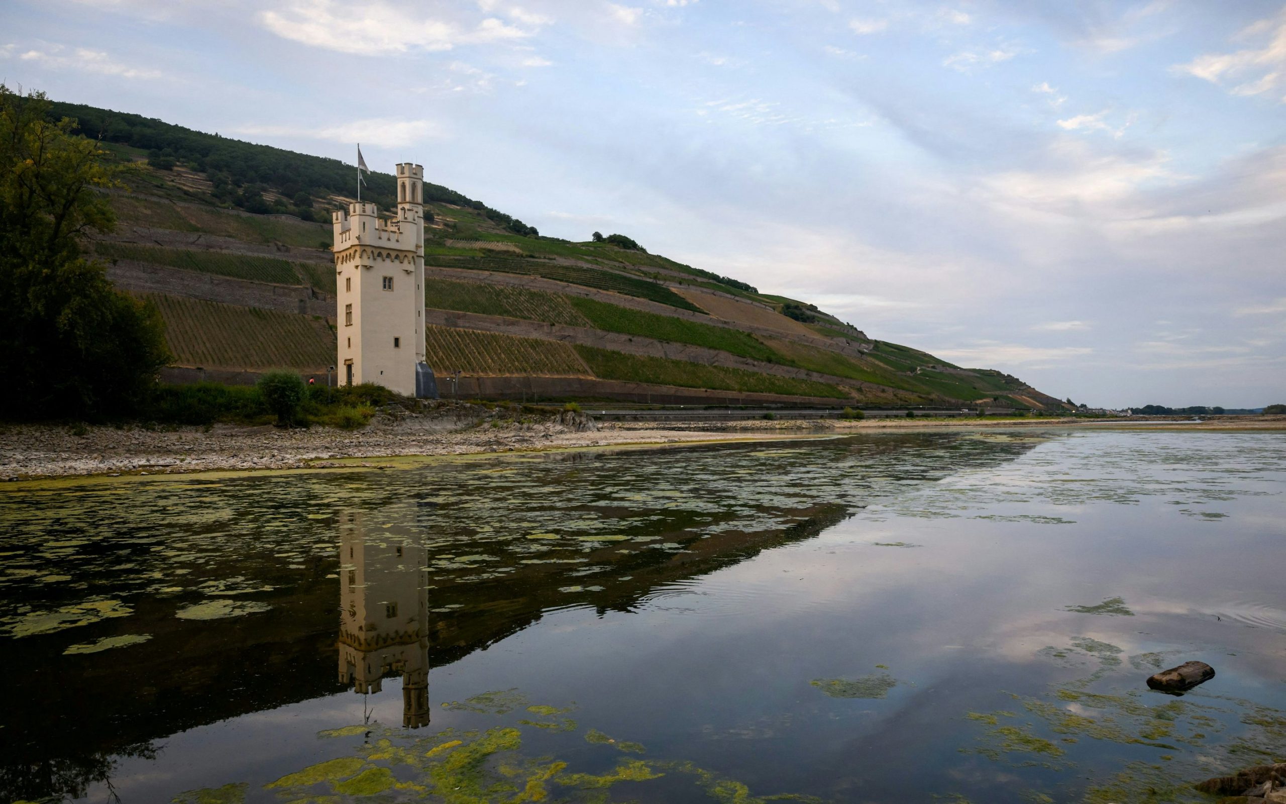 Niedrige Wasserstände im Rhein: Auswirkungen und Eindrücke