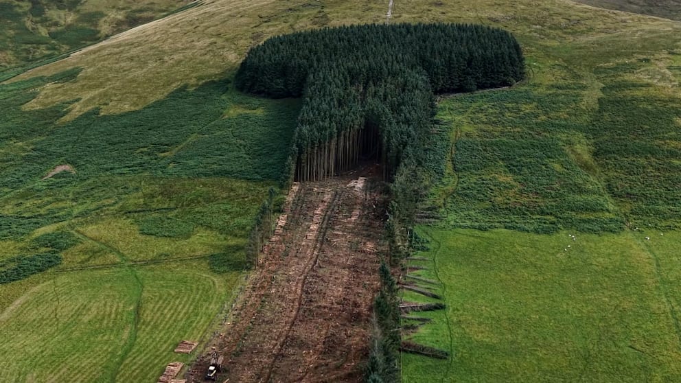 Schottland: Das Ende des Phallus-Waldes