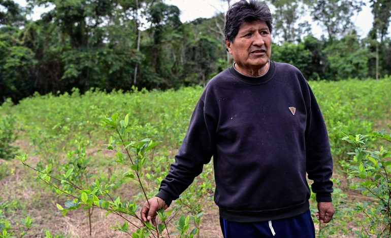 Evo Morales: Herausforderungen für die bolivianische Regierung