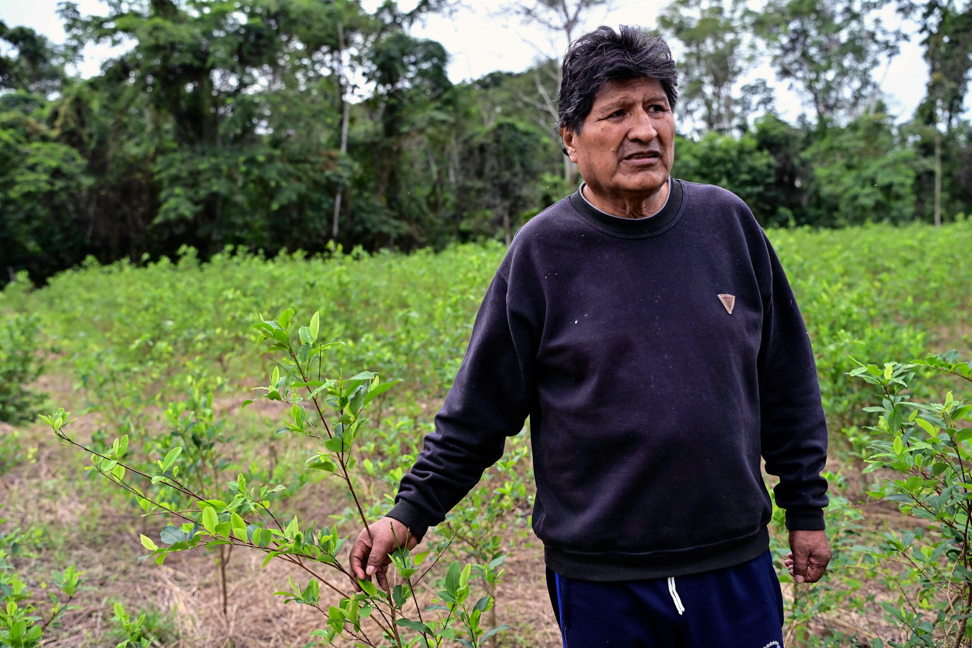 Evo Morales: Herausforderungen für die bolivianische Regierung