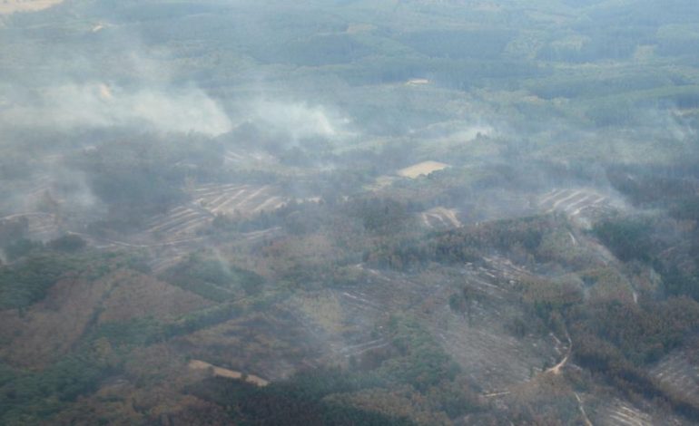 Bewohner kehren nach Waldbrand im Hürtgenwald zurück