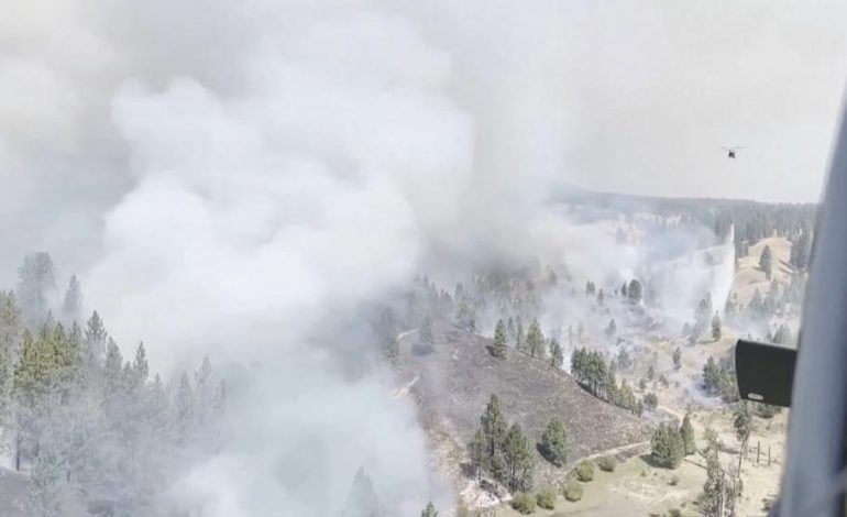 Kampf gegen Waldbrände in den USA: Einsatz der Nationalgarde