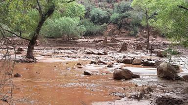Erneute Wetterwarnungen im Grand Canyon durch Sturzfluten