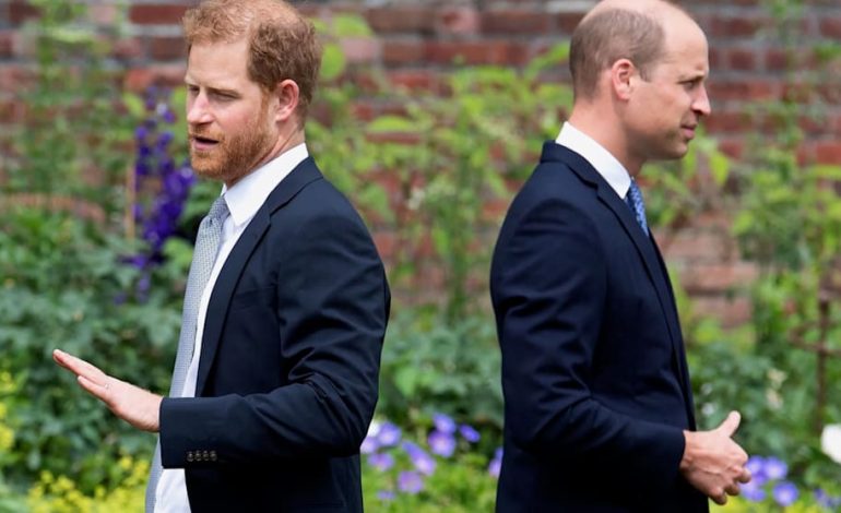 Die Entstehung des Konflikts zwischen Harry und William
