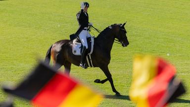 Reit-WM in Aachen: Deutsches Dressur-Team auf Gold-Kurs zur Halbzeit