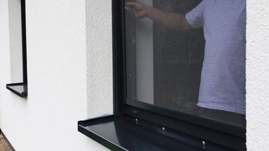 Sommer, Sonne, Wespen: Tipps zur Abwehr der Insekten