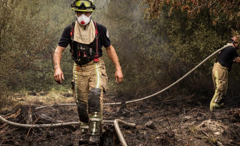 Waldbrand im Hohen Venn: Ein grenzüberschreitender Kampf