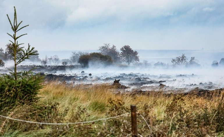 Feuer in Belgien eingekreist, Evakuierte kehren zurück