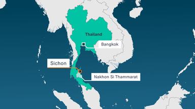 Gefahr durch Würfelquallen in Thailand: Schutzmaßnahmen und Erste Hilfe