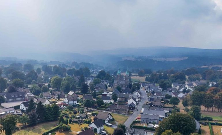Waldbrände in Belgien und Deutschland: Lageberichte und Maßnahmen