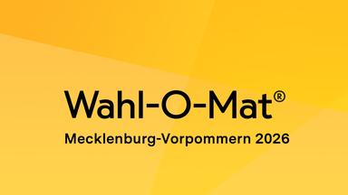 Wahlkampf in Mecklenburg-Vorpommern: Umfragen und Themen