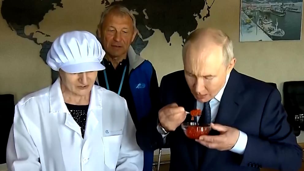 Putin genießt Kaviar während Marinemanöver, Ukraine greift Noworossijsk an