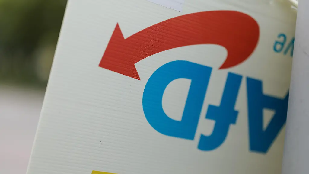 Pistorius und Özdemir plädieren für AfD-Verbotsverfahren