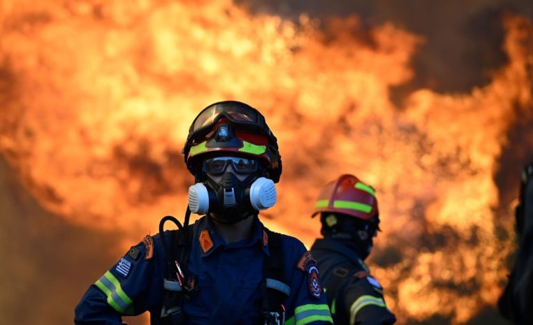 Großfeuer in den Niederlanden und weltweite Waldbrände: Ein Überblick