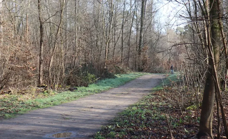 Jugendlicher wegen Mordes an Freundin angeklagt