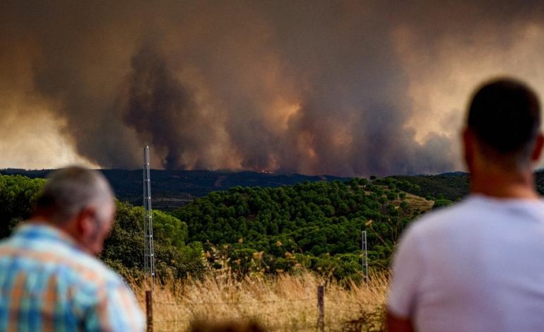 Waldbrände in Spanien und Frankreich führen zu Evakuierungen