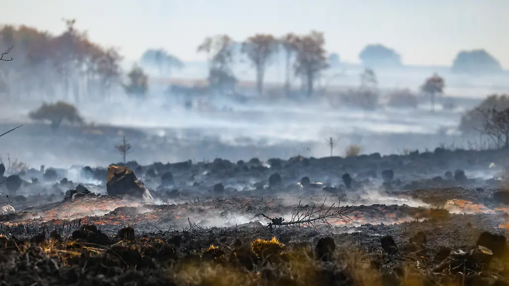 Leichtsinn oder böser Wille? Waldbrände durch Menschen verursacht