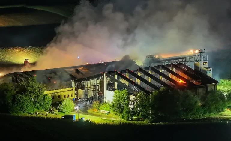 Feuerkatastrophe in Bayern: Mehr als 1200 Schweine verenden bei Stallbrand