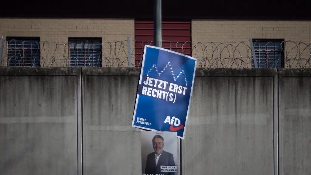 AfD-Kandidatur führt zu fristloser Kündigung in Niedersachsen