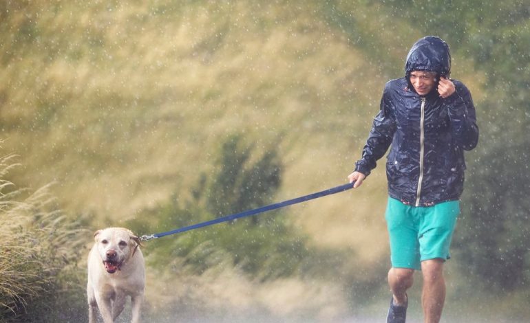 So fördert Ihr Hund Ihre Fitness