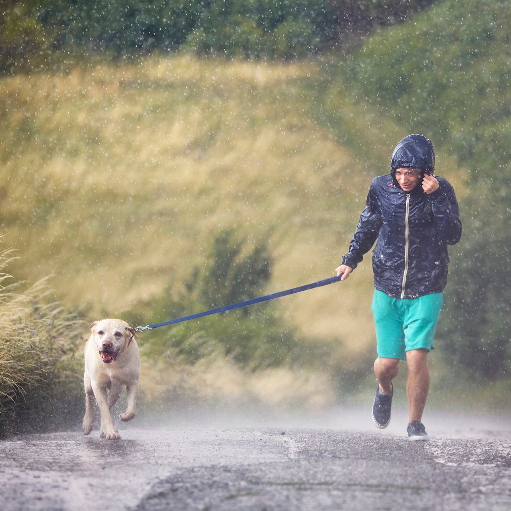 So fördert Ihr Hund Ihre Fitness