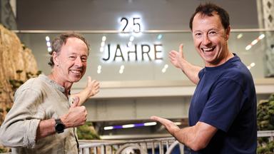 25 Jahre Miniatur Wunderland in Hamburg: Eine Erfolgsgeschichte