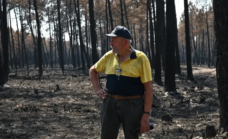 Wie ein Waldbauer gegen den Brand kämpft
