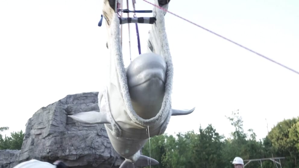 Beluga-Wale und Delfine im Oceanogràfic in Valencia willkommen geheißen