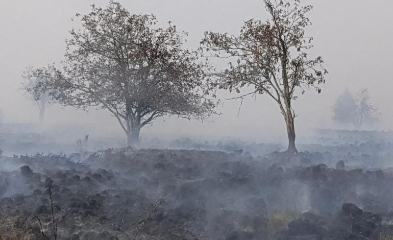 Gefahr durch Waldbrände im Hohen Venn: Auswirkungen und Maßnahmen