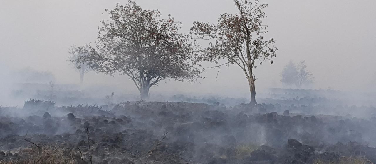 Gefahr durch Waldbrände im Hohen Venn: Auswirkungen und Maßnahmen