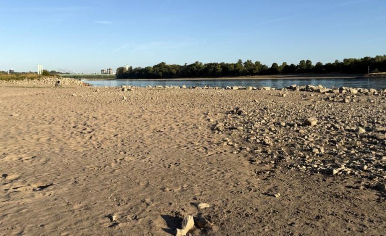 Niedriger Rhein-Pegel und seine Auswirkungen auf Verbraucher