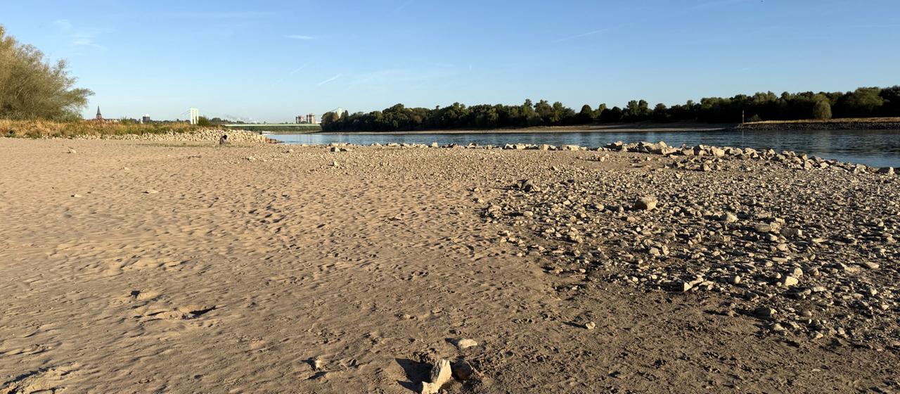 Niedriger Rhein-Pegel und seine Auswirkungen auf Verbraucher