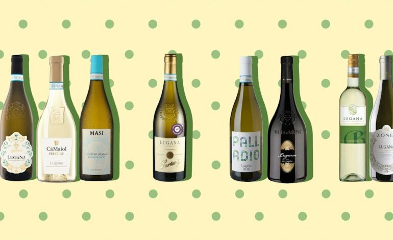 Der Lugana-Wein und seine Überraschungen
