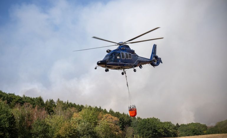 Fortschritte und Herausforderungen bei Waldbränden in NRW und Belgien