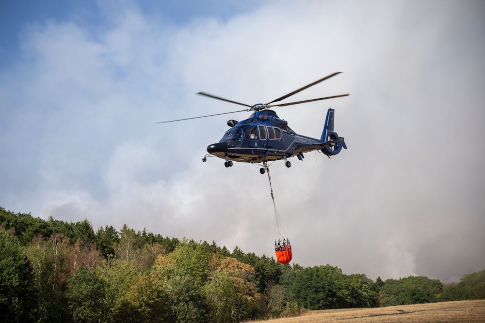 Fortschritte und Herausforderungen bei Waldbränden in NRW und Belgien