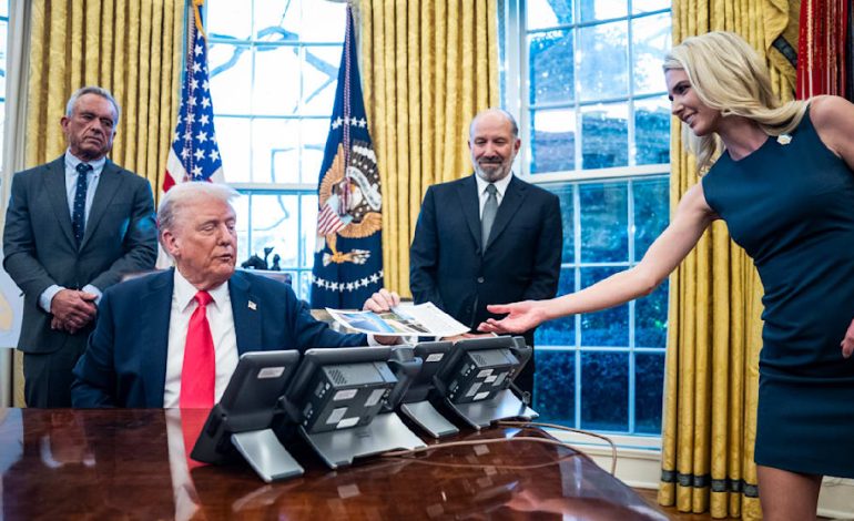 Natalie Harp: Immer an Trumps Seite