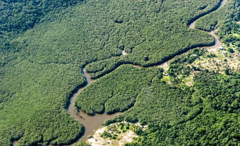 Brasilien reduziert Abholzung im Amazonas-Gebiet
