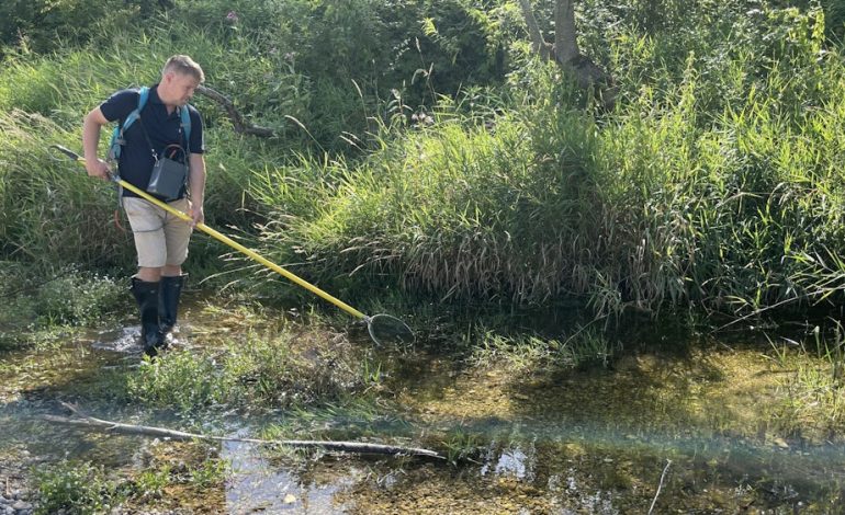 Fischbestand in Bayern: Herausforderungen durch Trockenheit