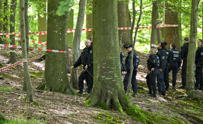Schauriger Fund bei Flensburg: Jäger entdeckt zerstückelte Leiche