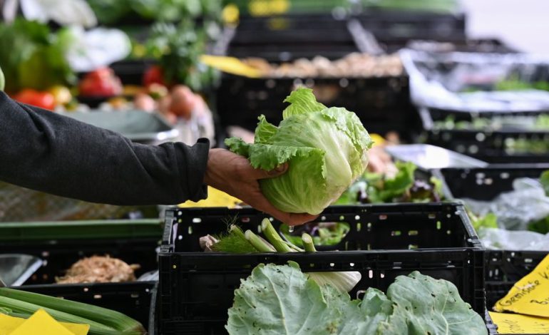 Cyclospora-Ausbrüche durch Obst und Gemüse