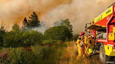 Feuerwehrleute löschen den Großbrand im Hohen Venn