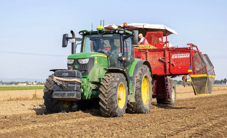 Dürre belastet Kartoffelernte in Deutschland