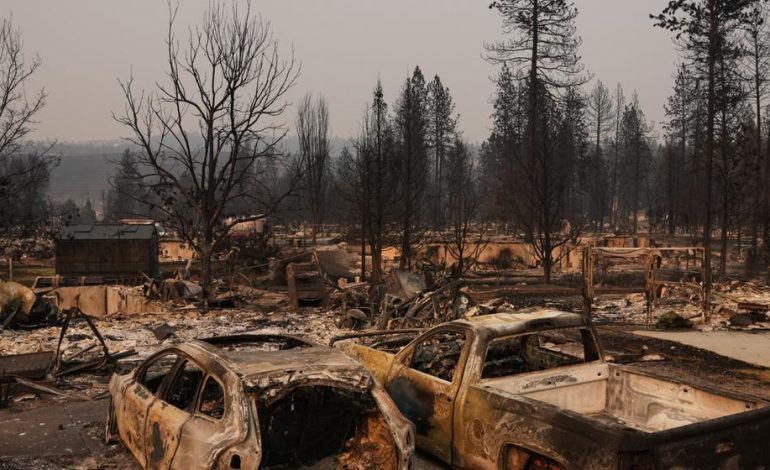 Verheerende Waldbrände in Washington: Verdächtiger festgenommen