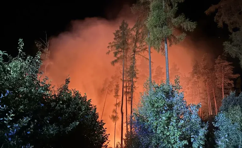 Größter Waldbrand seit 30 Jahren in Sachsen