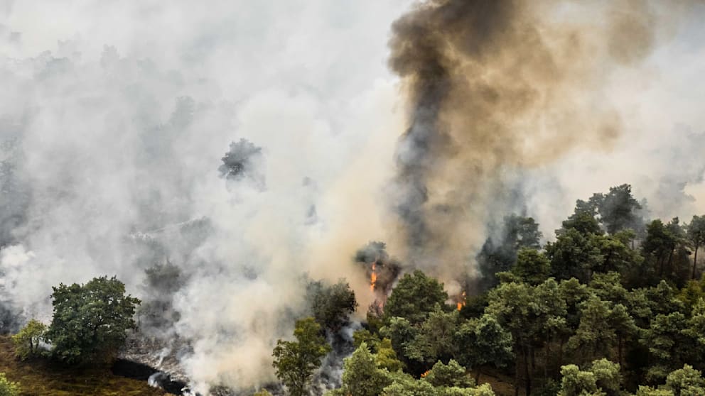 Waldbrand an der Grenze zu Deutschland
