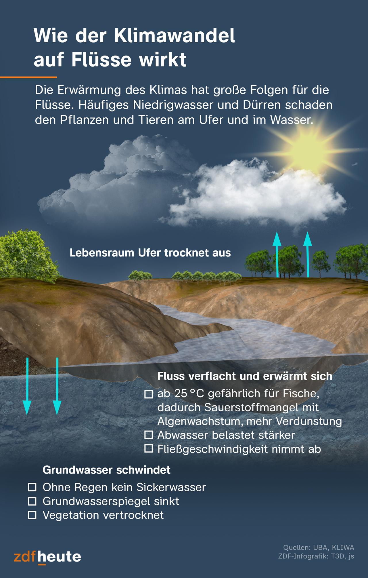 Der Rhein und die Herausforderungen des Niedrigwassers