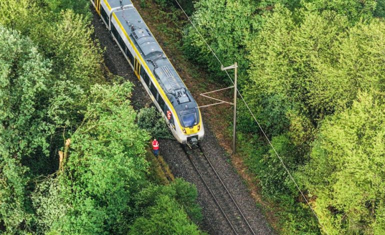 Unwetterwarnungen des DWD für Deutschland