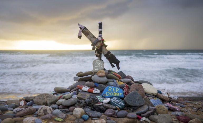Der Einfluss von Dobbys Denkmal auf ein britisches Infrastrukturprojekt